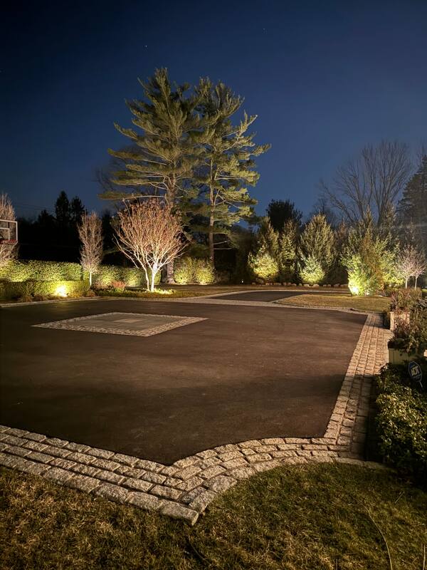 Rear courtyard with large pine and warm landscape fixtures