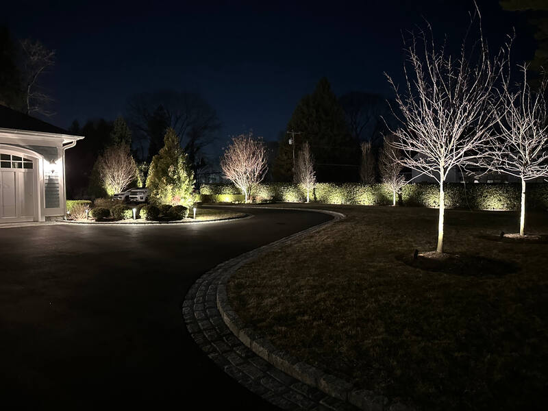 Curved driveway with accent-lit trees and uplit hedge