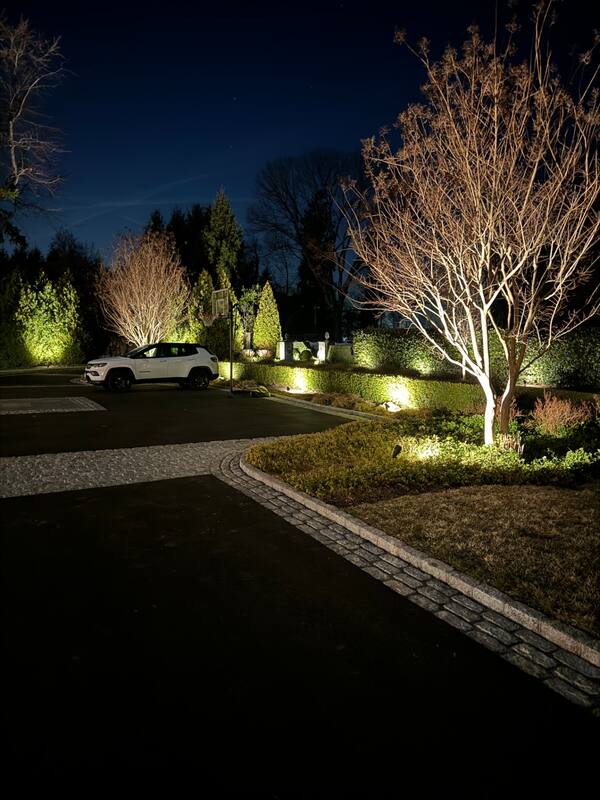 Garden bed and accent-lit tree beside the driveway
